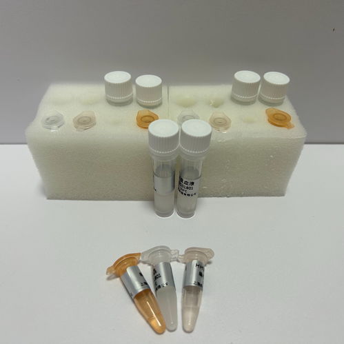 化学试剂价格 试剂检测盒 实验试剂采购 丁香通官网